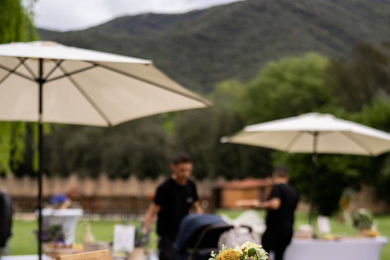 Aperitivo