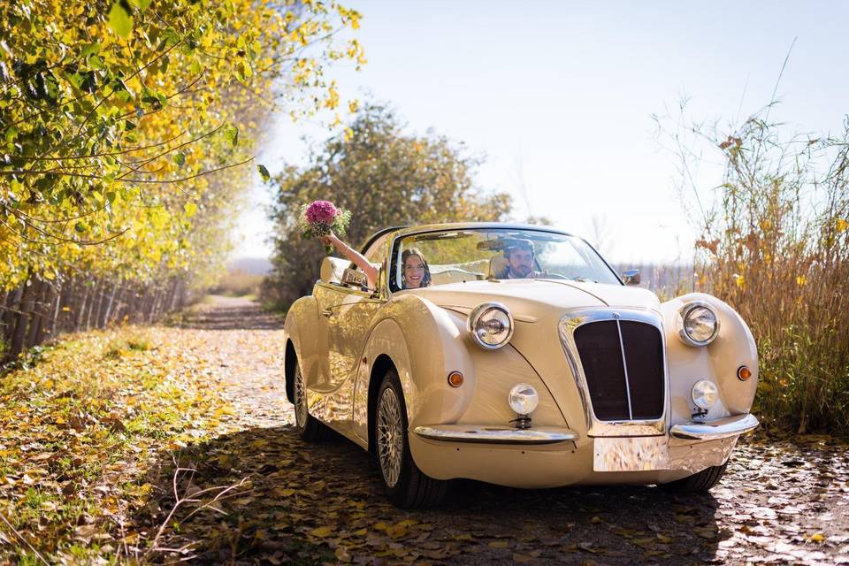 Hurtan Beige