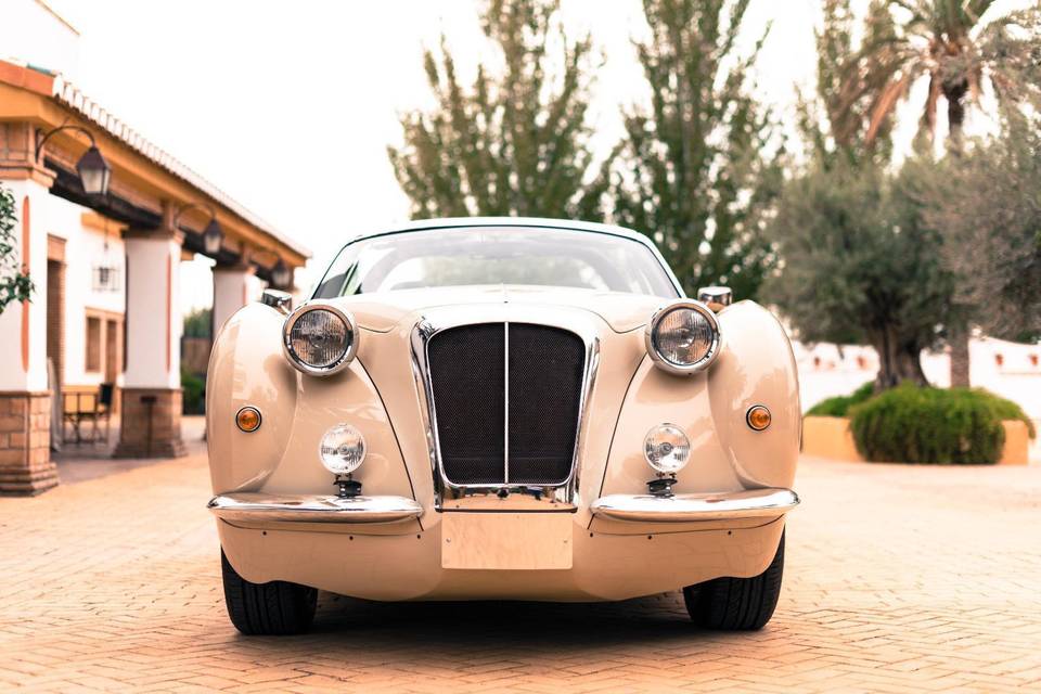 Hurtan Author Beige