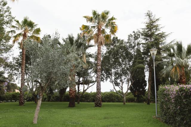 Jardín
