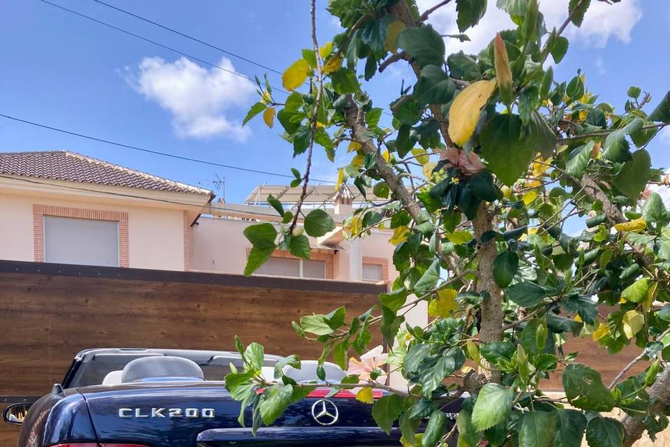 Una experiencia elegante y dif
