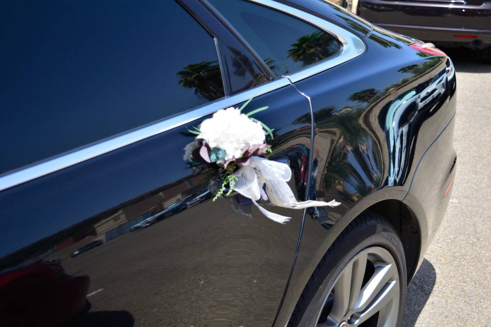 JAGUAR FLORES 2