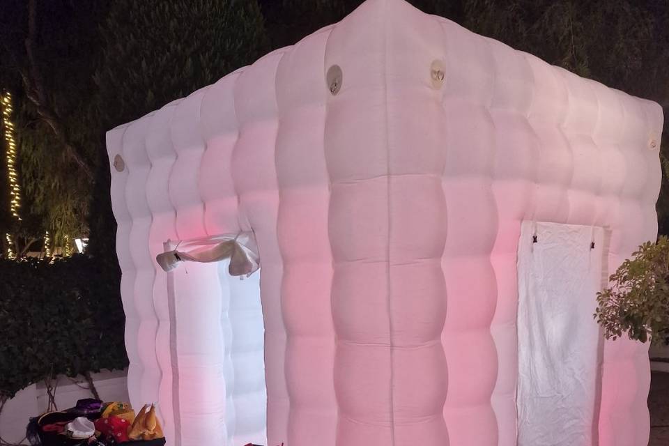 Capsula
