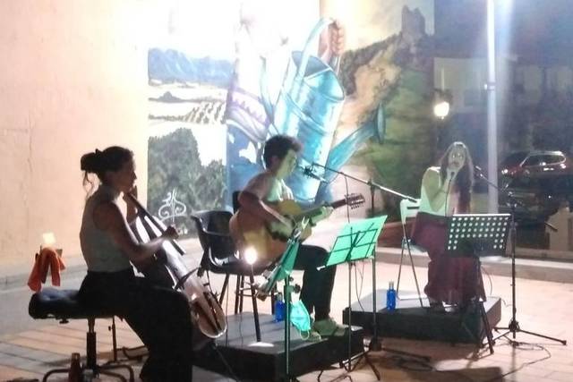 Festival cine corto