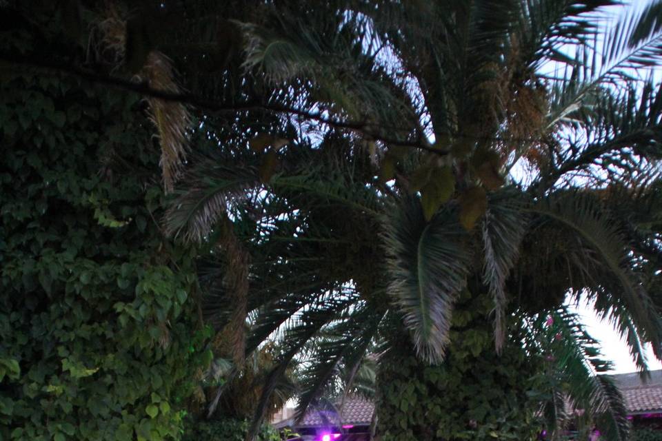 Jardines