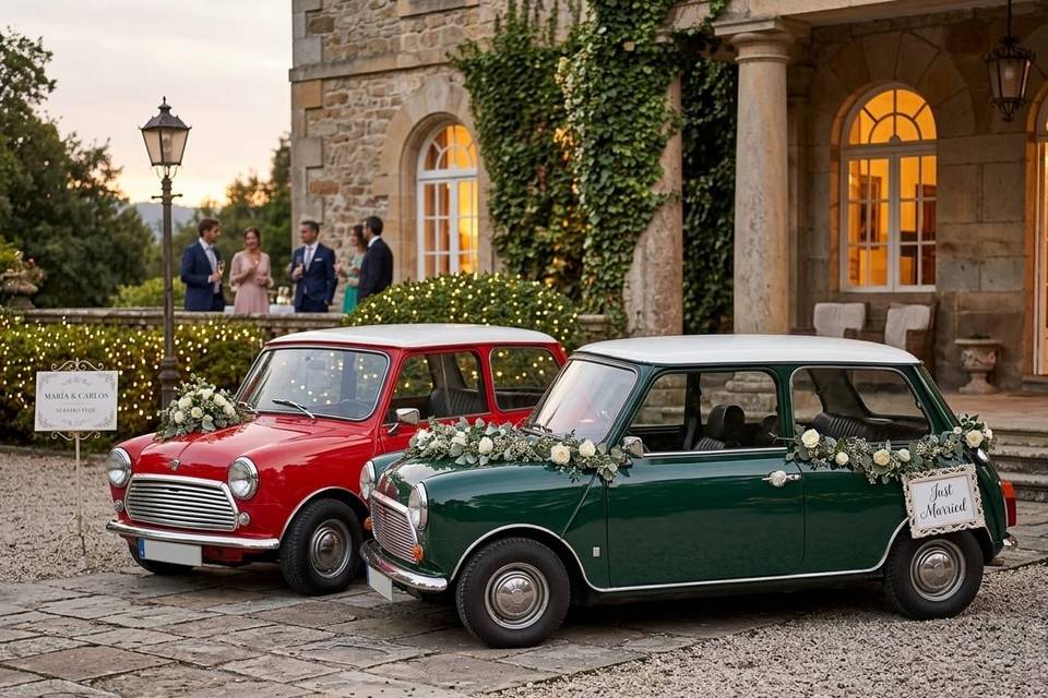 Ambos minis