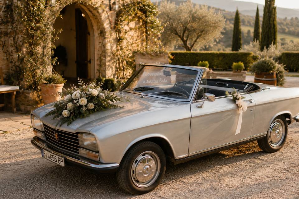 Delantero 304