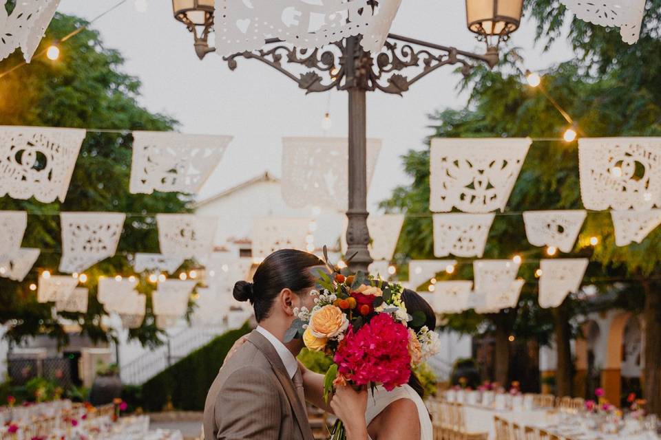 Novios