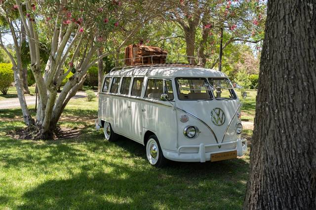 VW T1