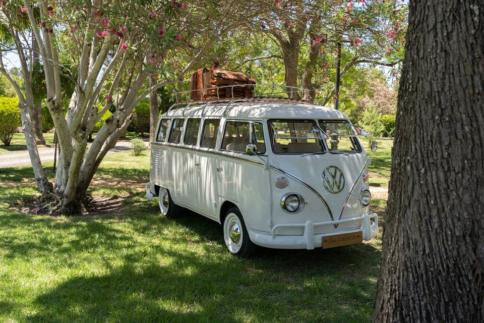VW T1