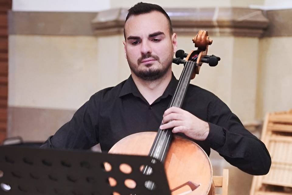 Violonchelo