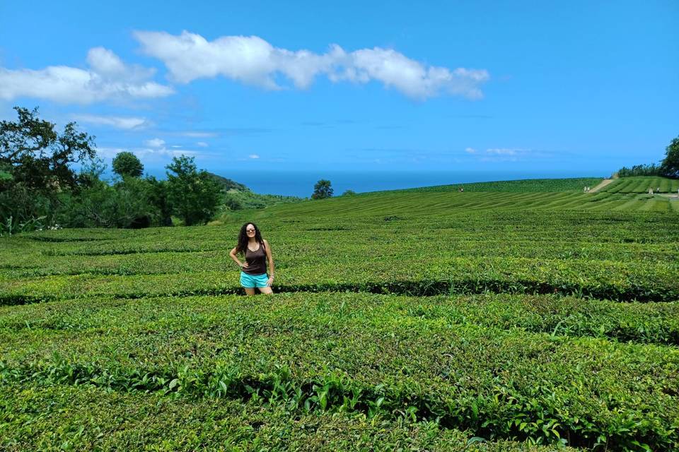 A Y P EN AZORES