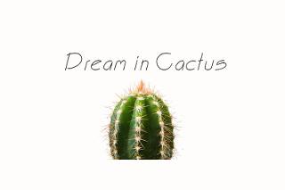 Dream in Cactus