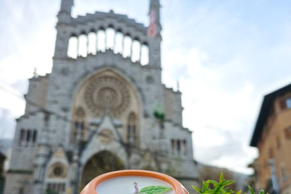 Vela Sóller