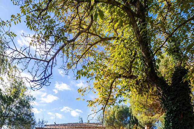 Finca