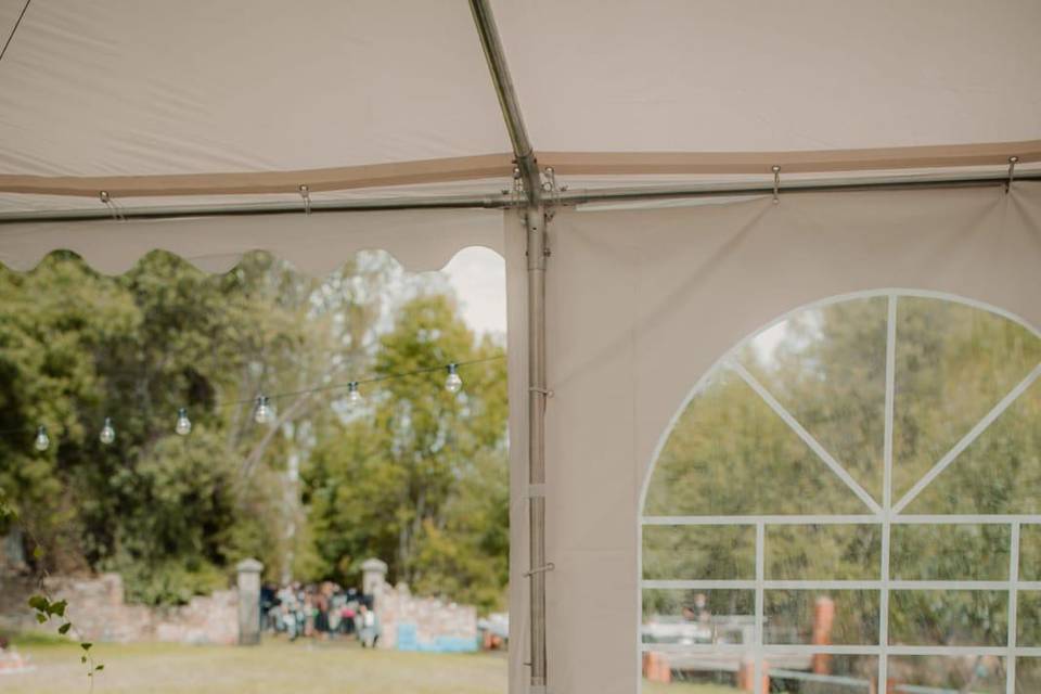Interior carpa