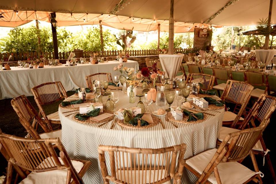 Aida romero wedding planner