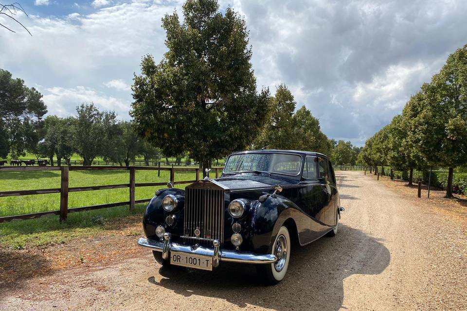 Rolls Royce Silver Wraith