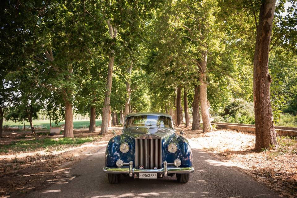 Rolls Royce Silver Cloud II