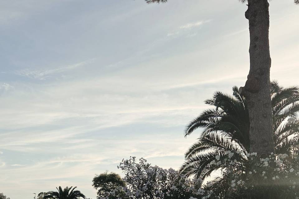 Belleza
