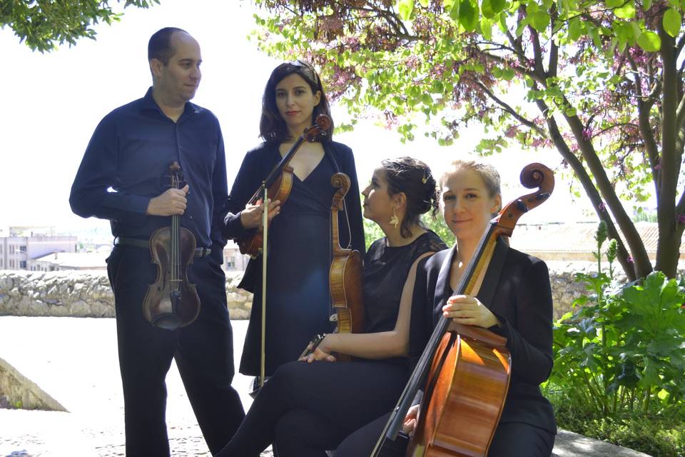 Cuarteto anaya