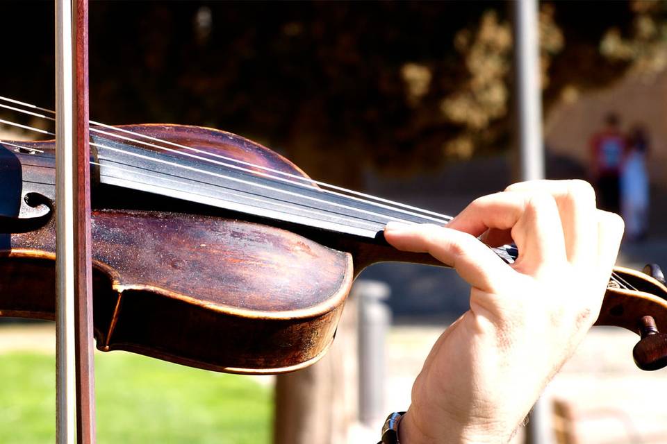 Cuarteto anaya violín