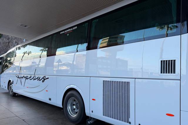 Lateral bus 55 Pasajeros