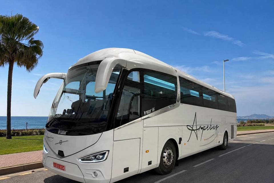 Arpebus