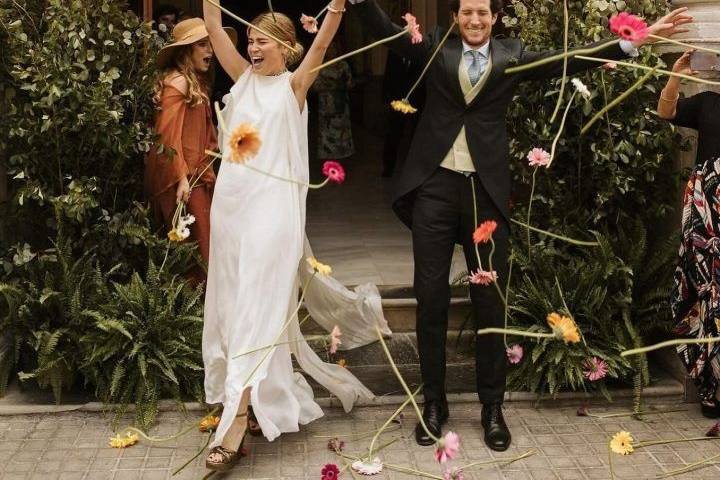Stelari Wedding Content