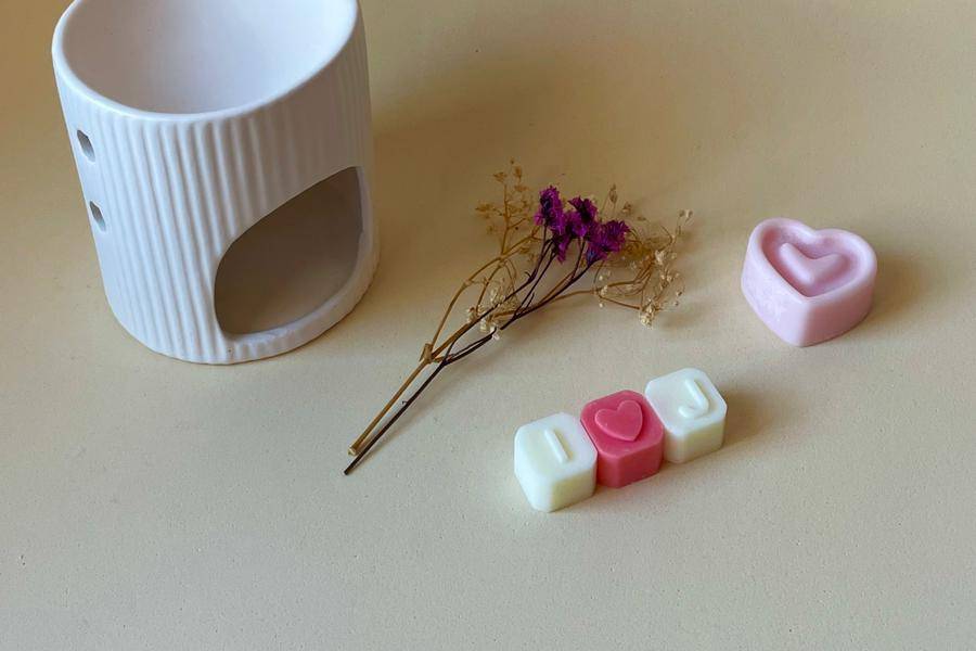 Wax melts iniciales