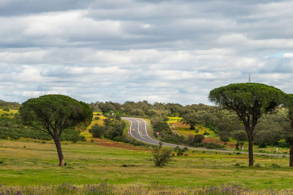 Finca Contrabando