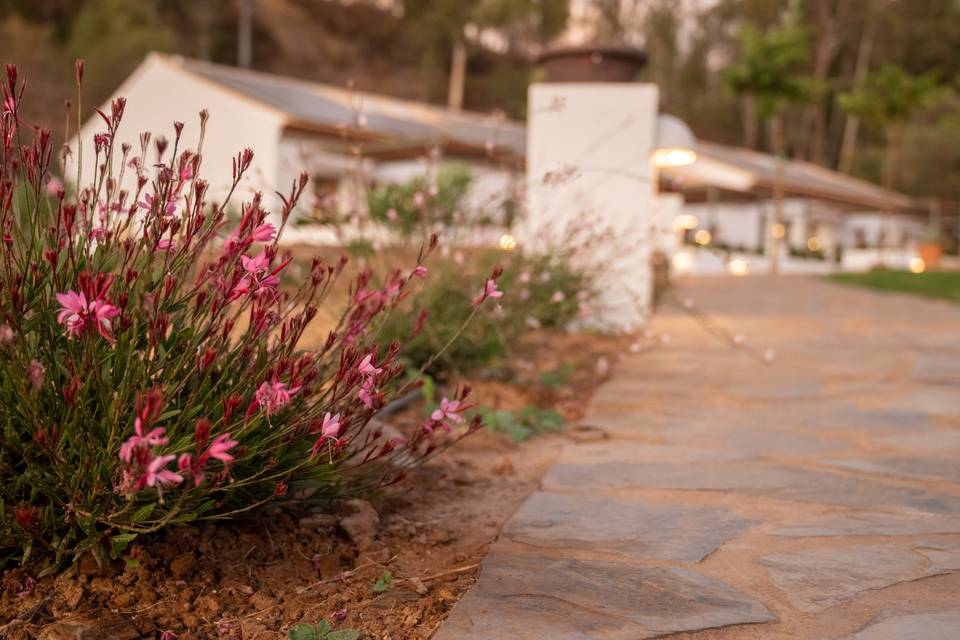 Finca Contrabando