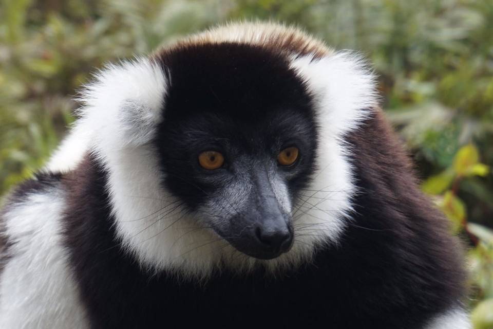 Madagascar(foto cliente)