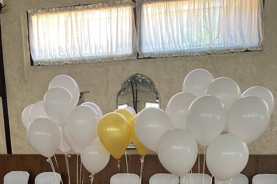 Globos biodegradables para sue