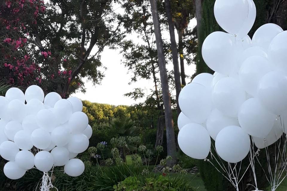 Globos para suelta biodegradables