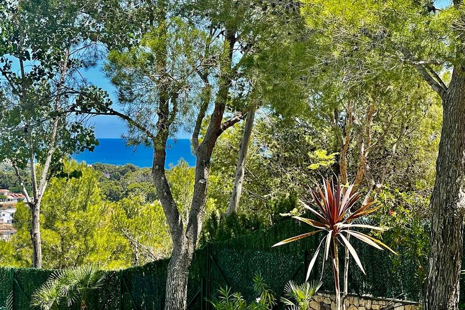 Casaltea
