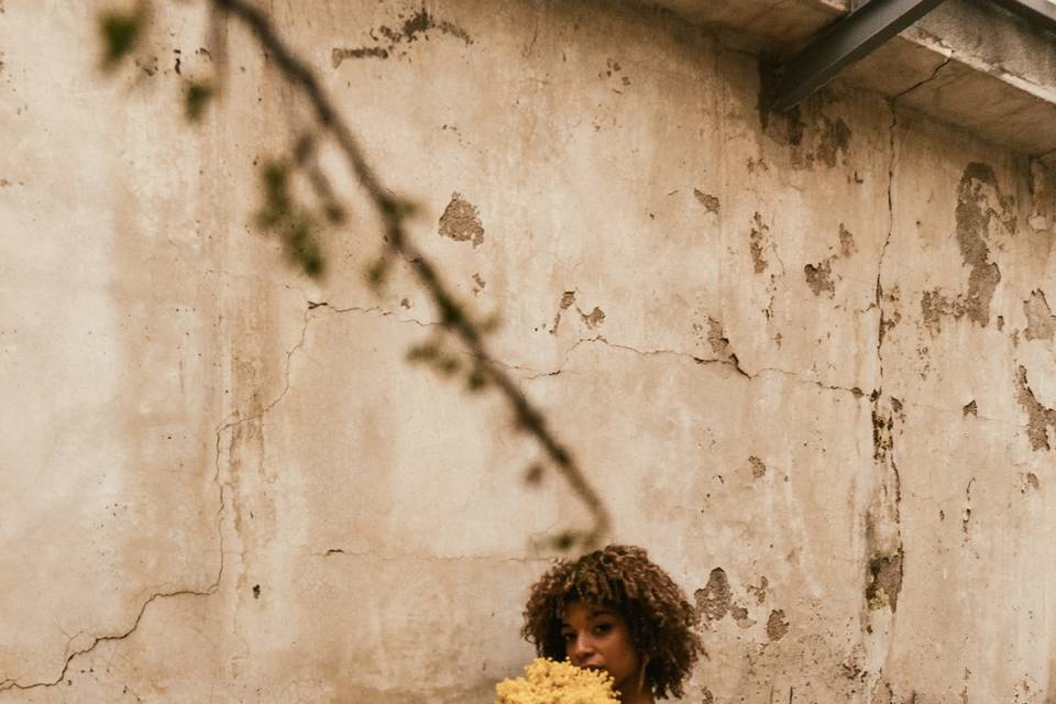 Editorial mimosa