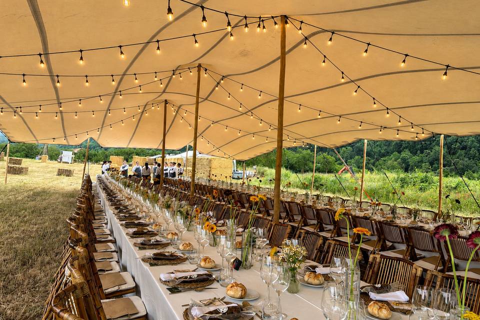 Carpa para bodas