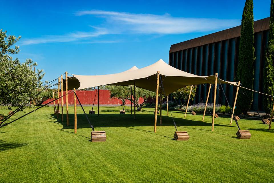Carpa en jardin