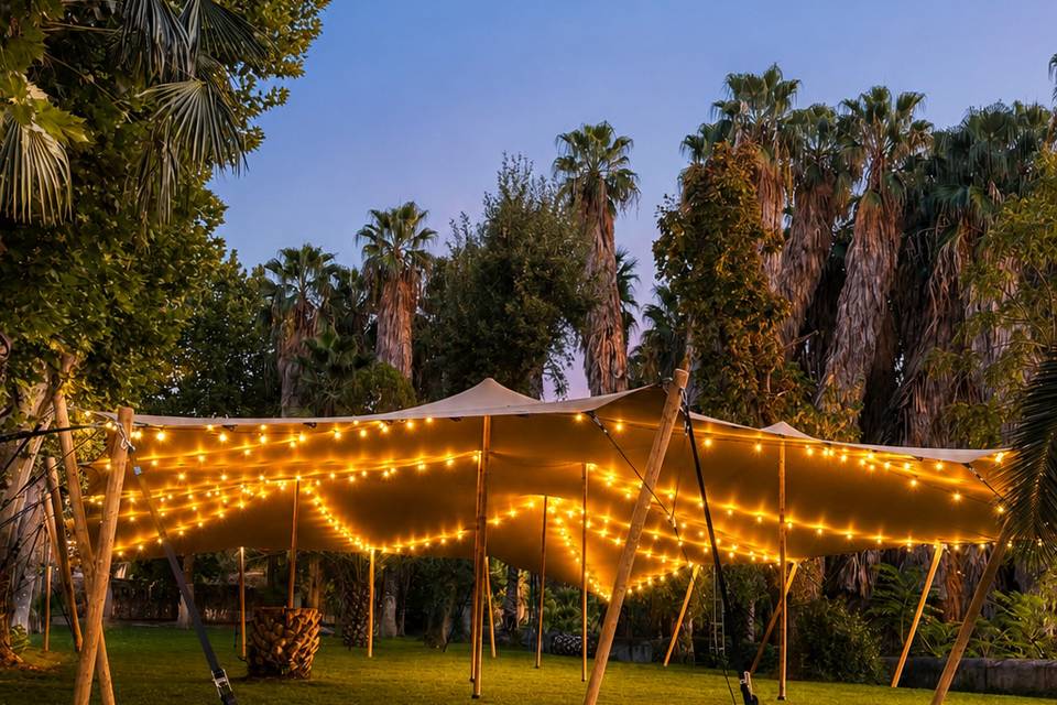 Carpa iluminada