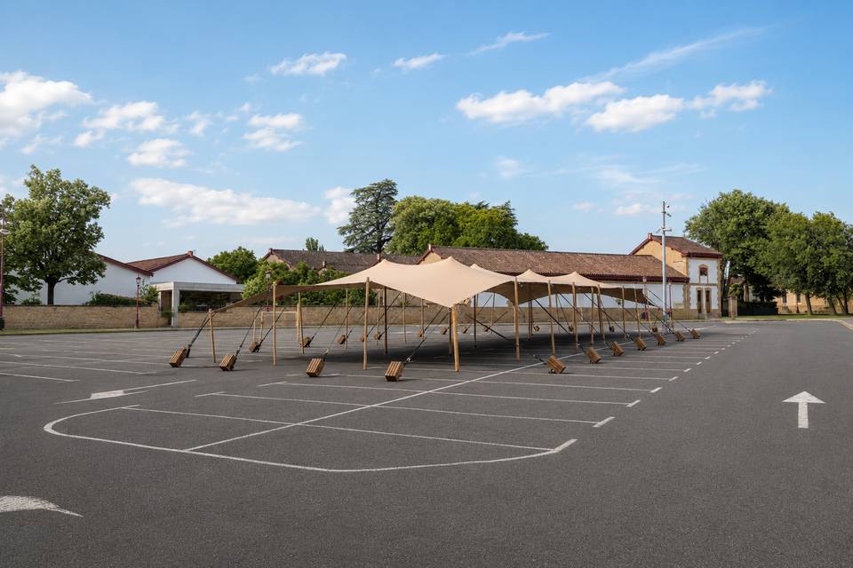 Carpa en asfalto
