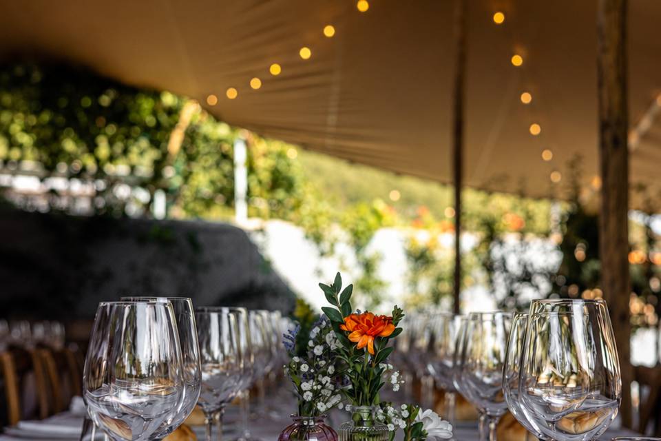 Carpas eventos