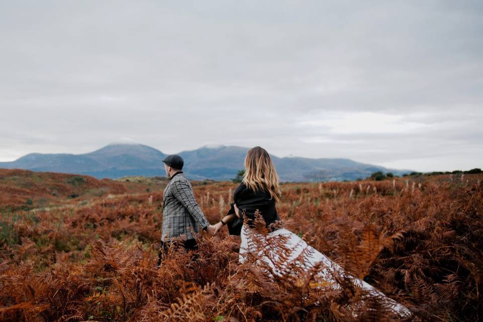 Postboda Irlanda P&Á