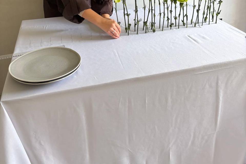 Sandra creando