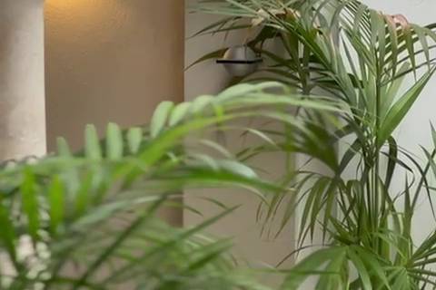 Detalles