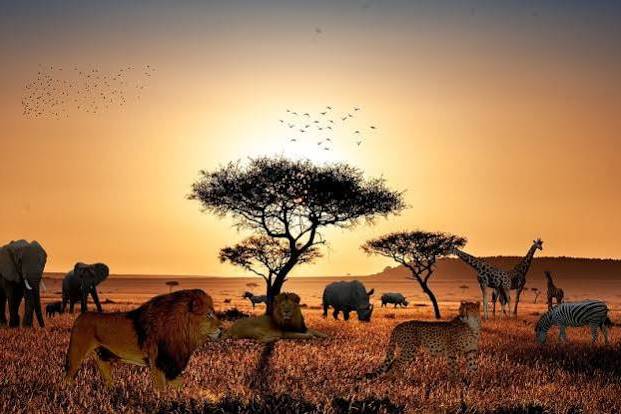 Africa
