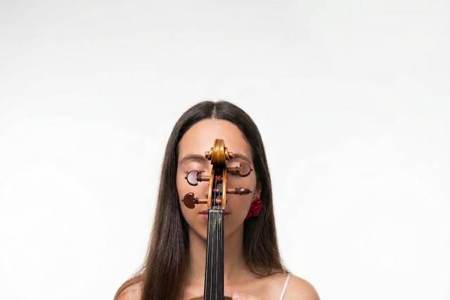 Violinista