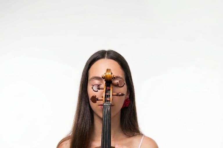 Violinista
