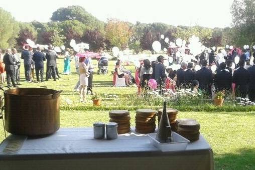 Boda para una pulpo