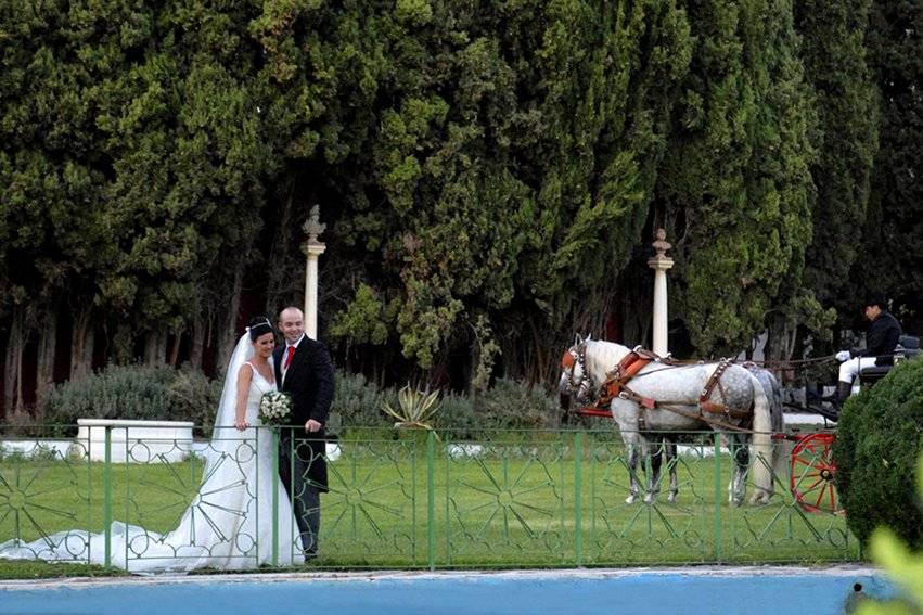 Novios y caballos